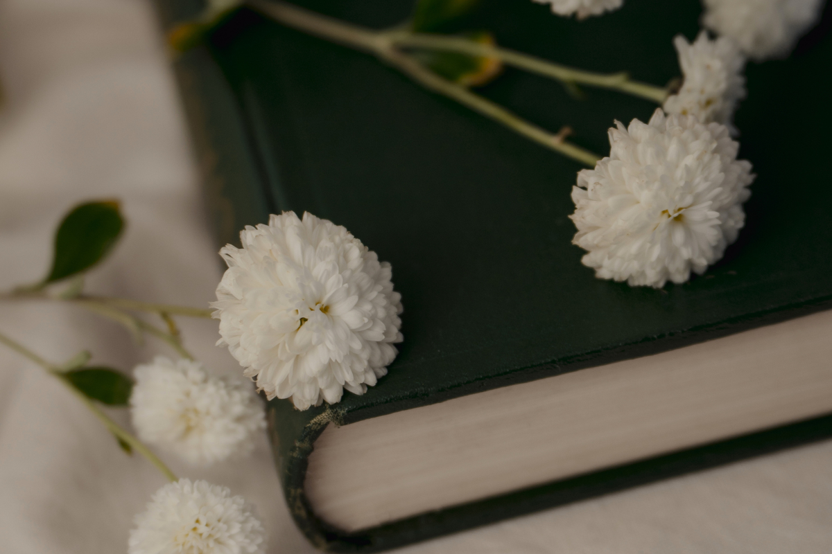 Welcome to My Little Home Edit: Living Made Beautiful Blog Post