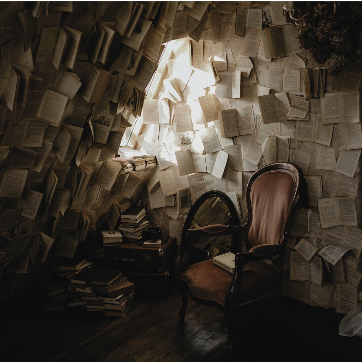 My Little Book Nook