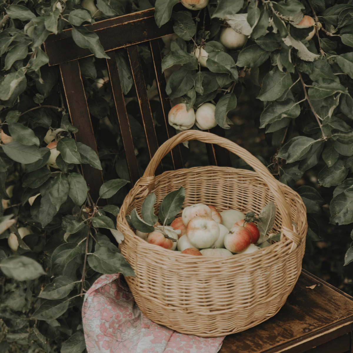 The What's in Season Edit