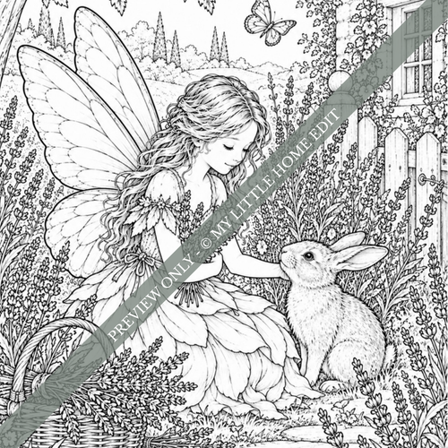 Fairyland: A Secret Garden of Fairies Colouring Book